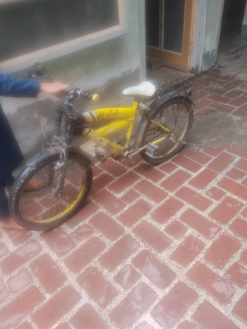 kifs cycle 2