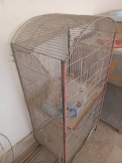 cage for big birds