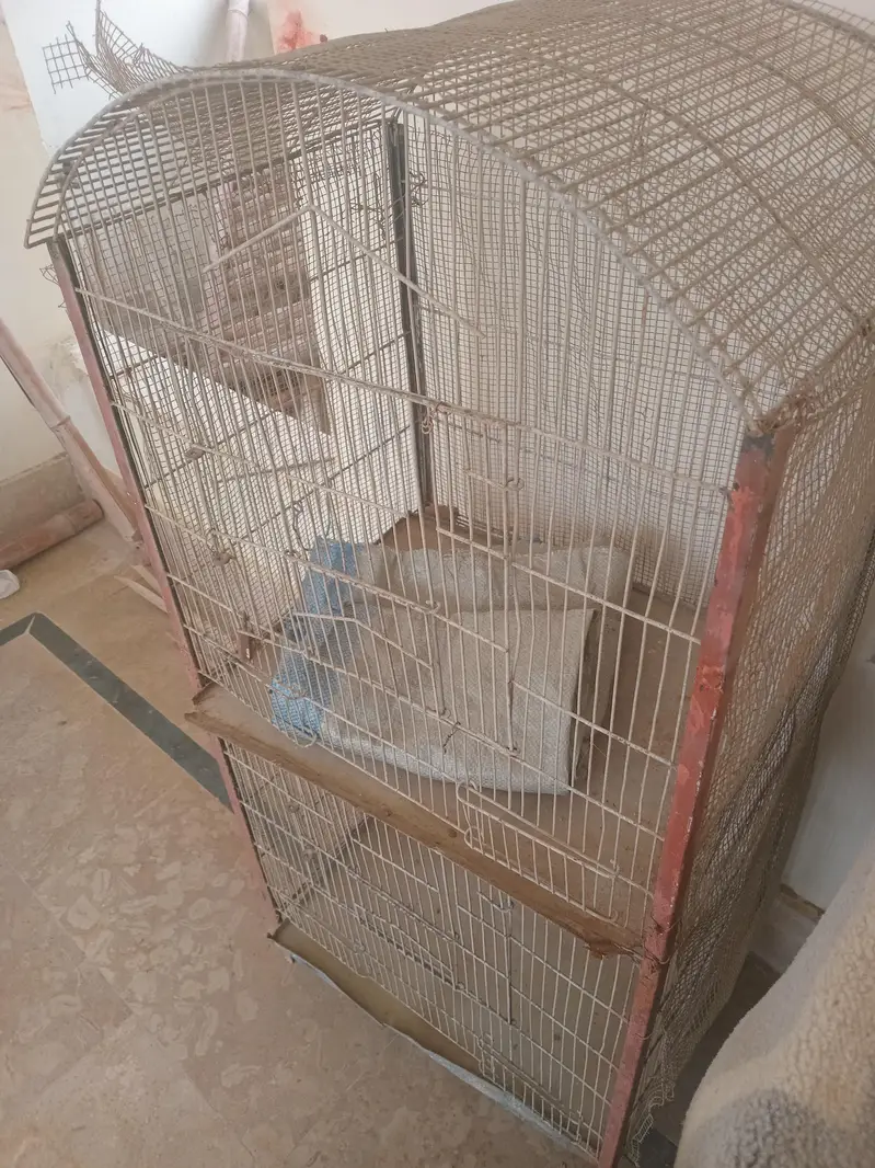 cage for big birds — photo 2