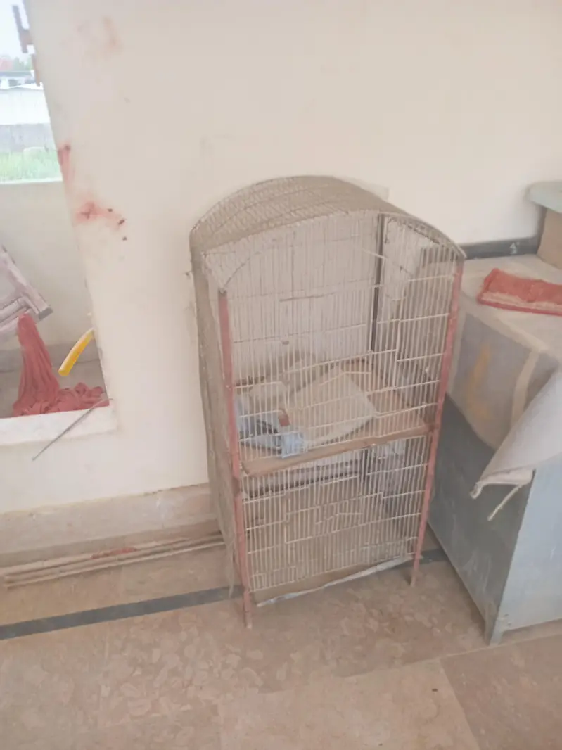 cage for big birds — photo 3