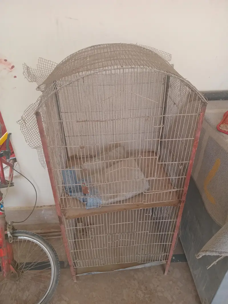 cage for big birds — photo 4