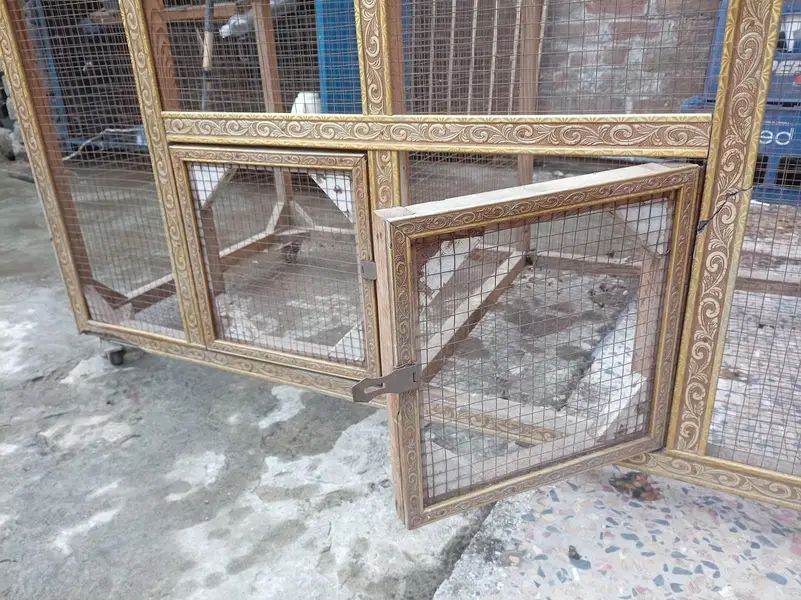 aseel hen pinjra — photo 2