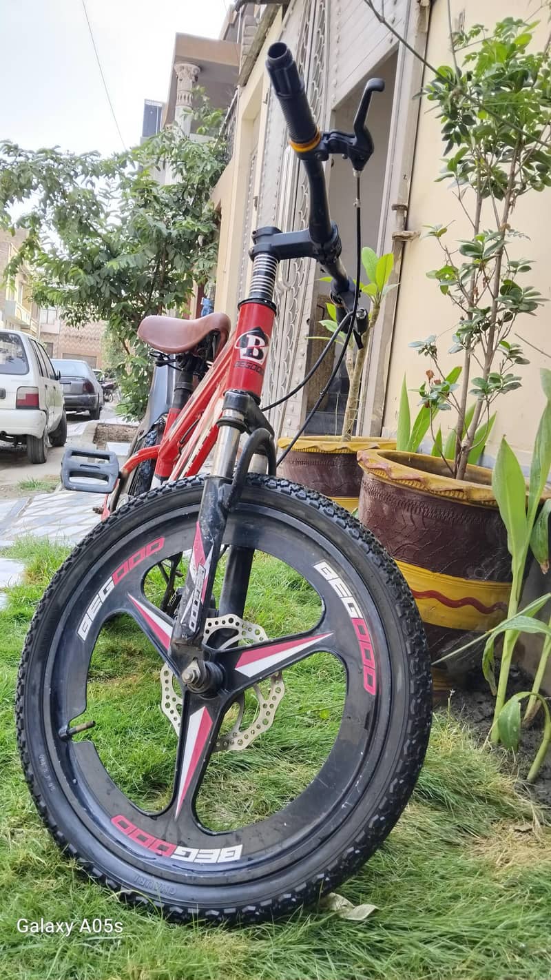 Cycle 1