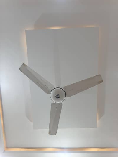 ​Pak Fan Ceiling Fan – Good Working Condition