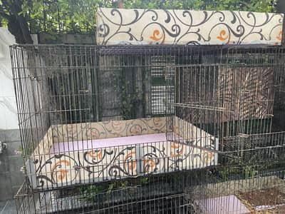Hens cage 3 by 2 by 2