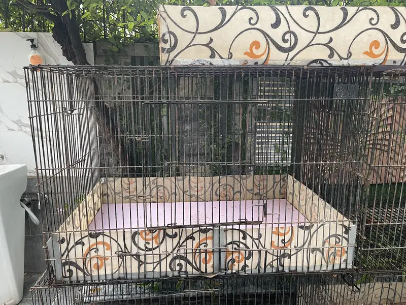 Hens cage 3 by 2 by 2 — photo 3