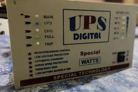 UPS 1000 watt