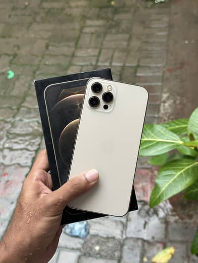 Apple iPhone 12 Pro Max 256 gb PTA