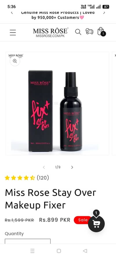 Miss Rose Stay Over Makeup Fixer