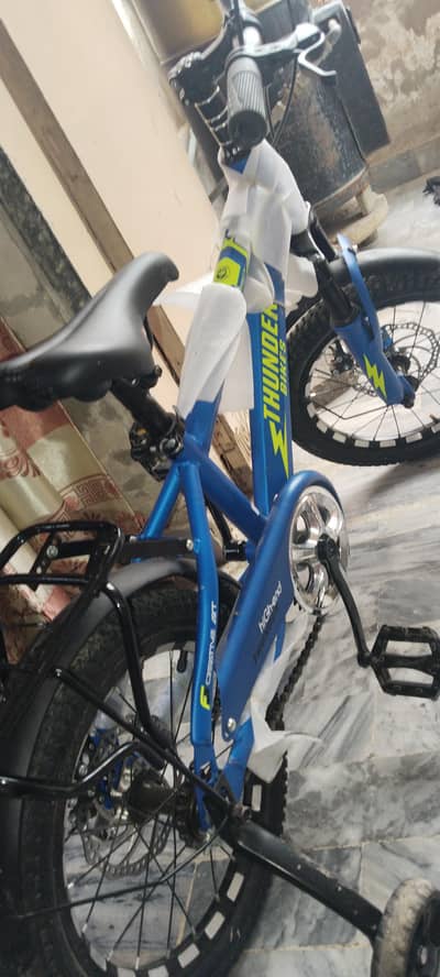 ne cycle important 2 days use chainaa ki