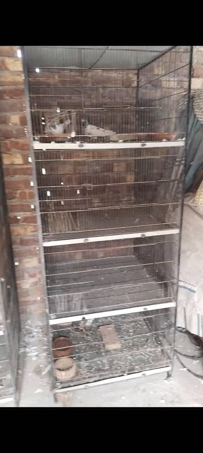 cage 6feet