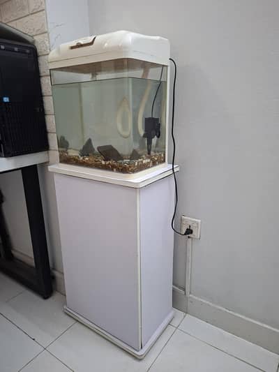 Fish Aquarium