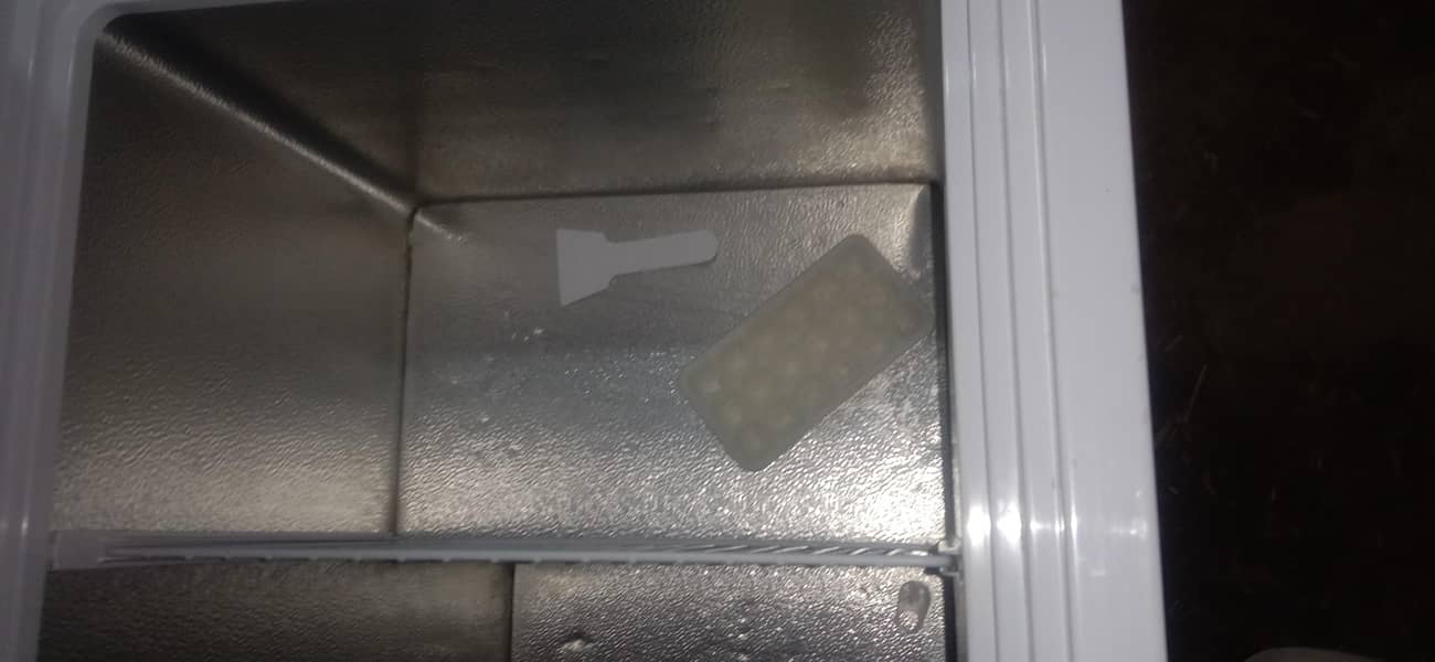 pel freezer 1