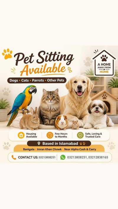 Pet sitting