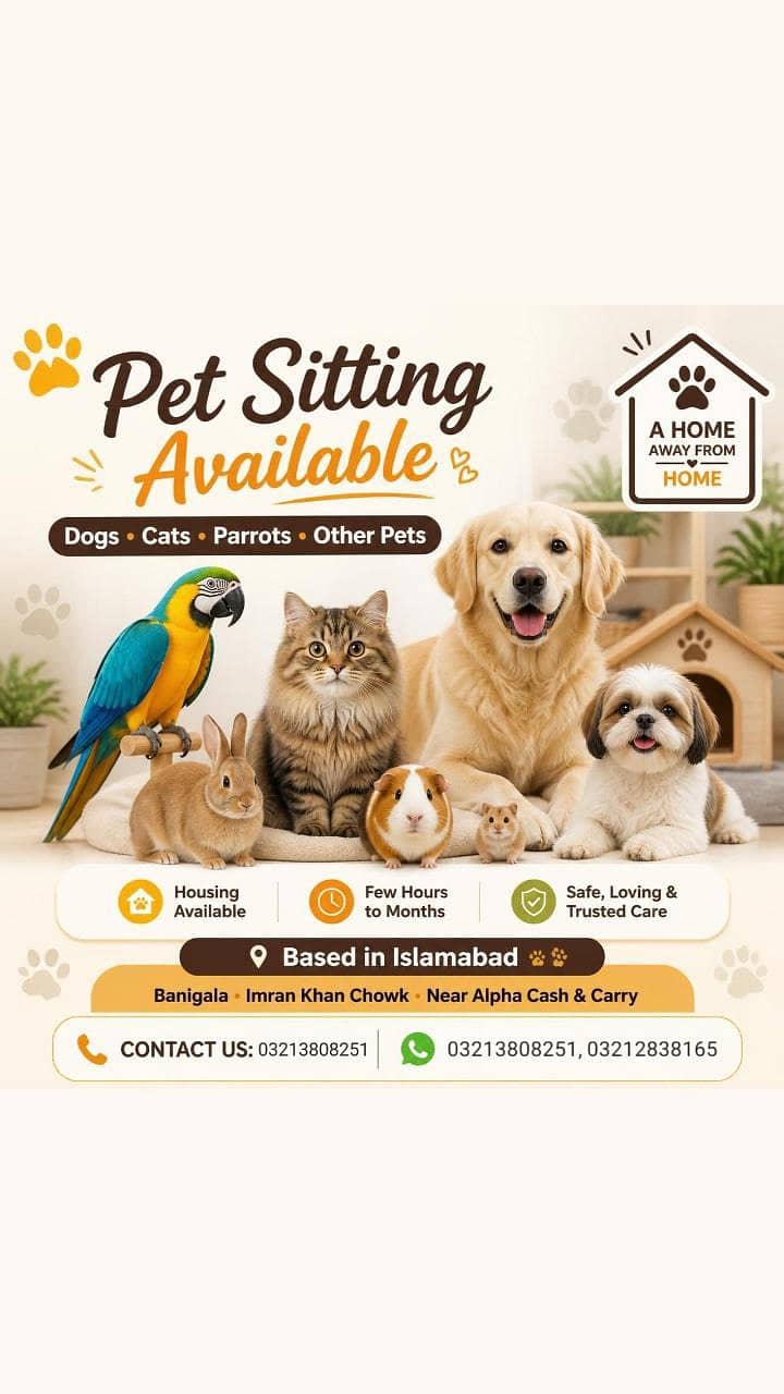 Pet sitting 0