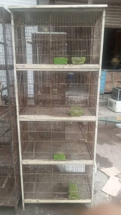 cage 2.5 by 1.5 candison 10. bt 9