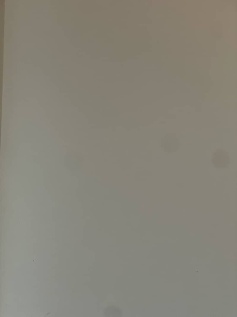 12 Pro 8