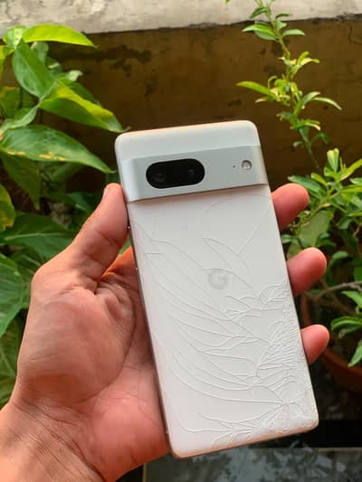Google pixel 7 Official Pta