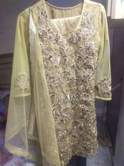 Embroided ready to wear party dress
