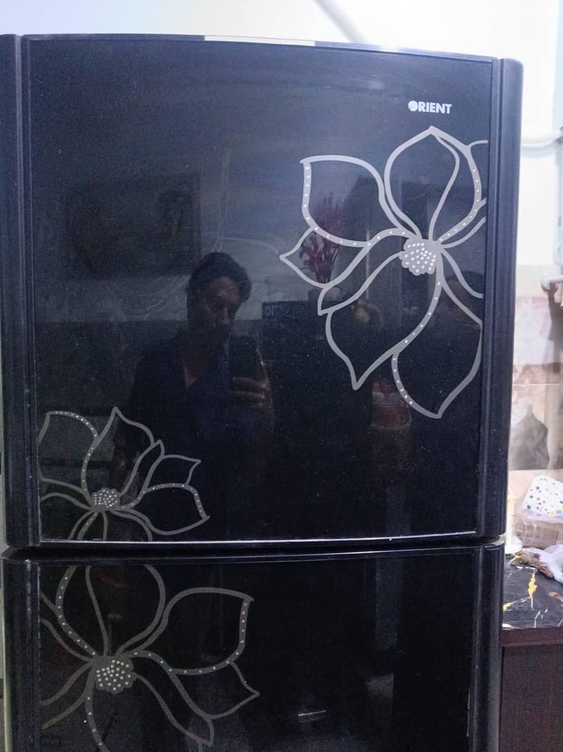 fridge 1