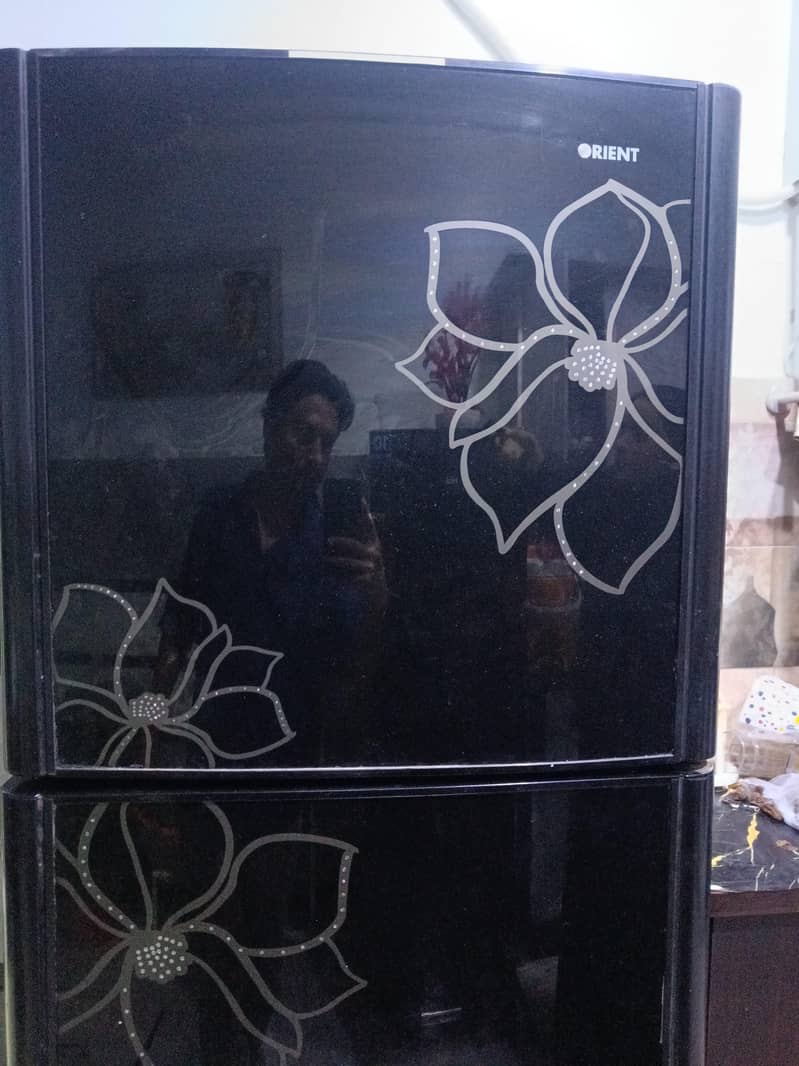 fridge 3