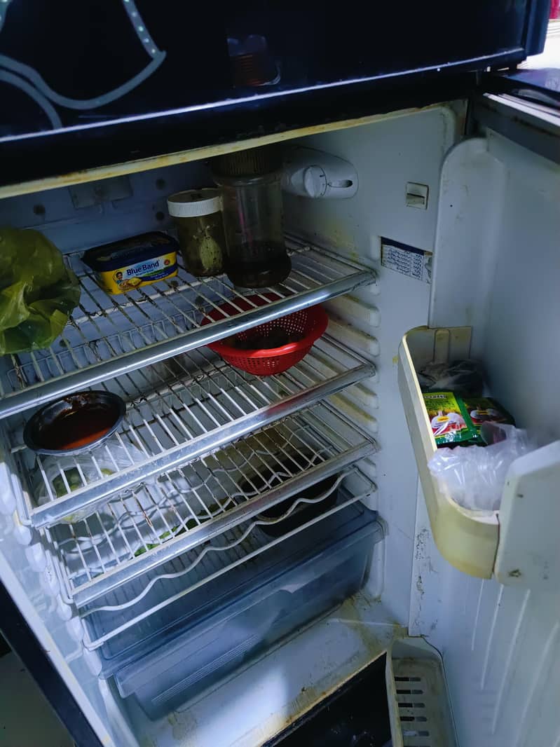 fridge 4