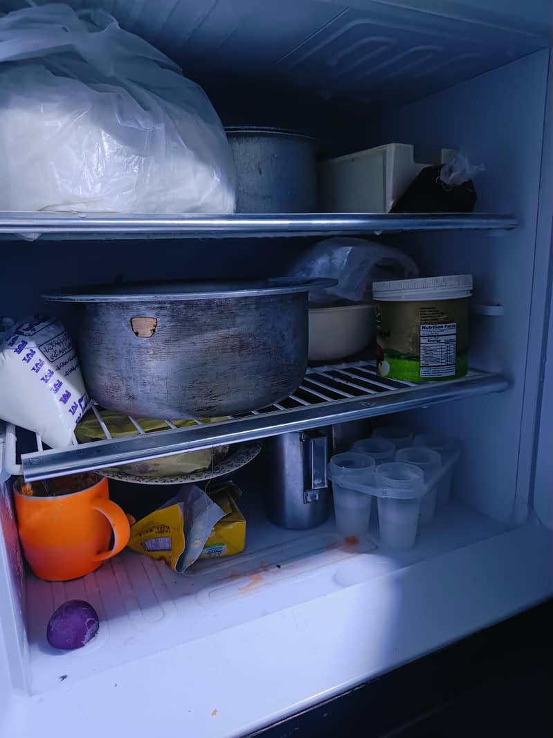 fridge 5