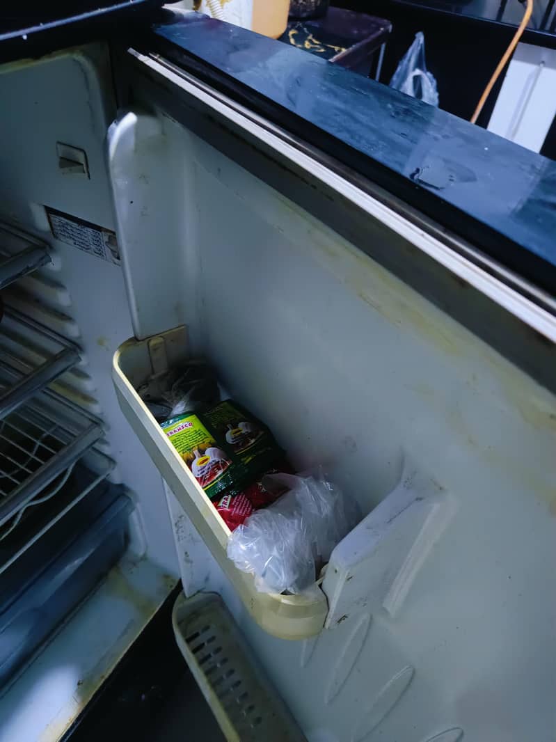 fridge 9