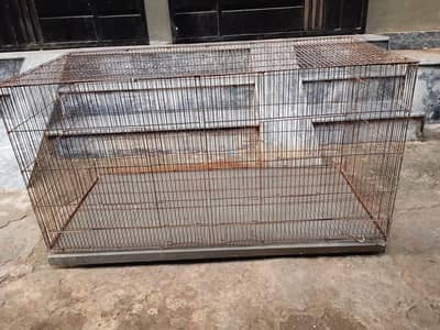 Parrot Cage | Hen Cage | Aseel Cage| Cat Cage