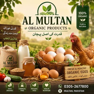 organic eggs 