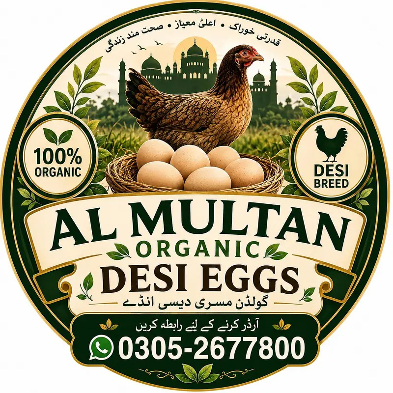 organic eggs  — photo 2