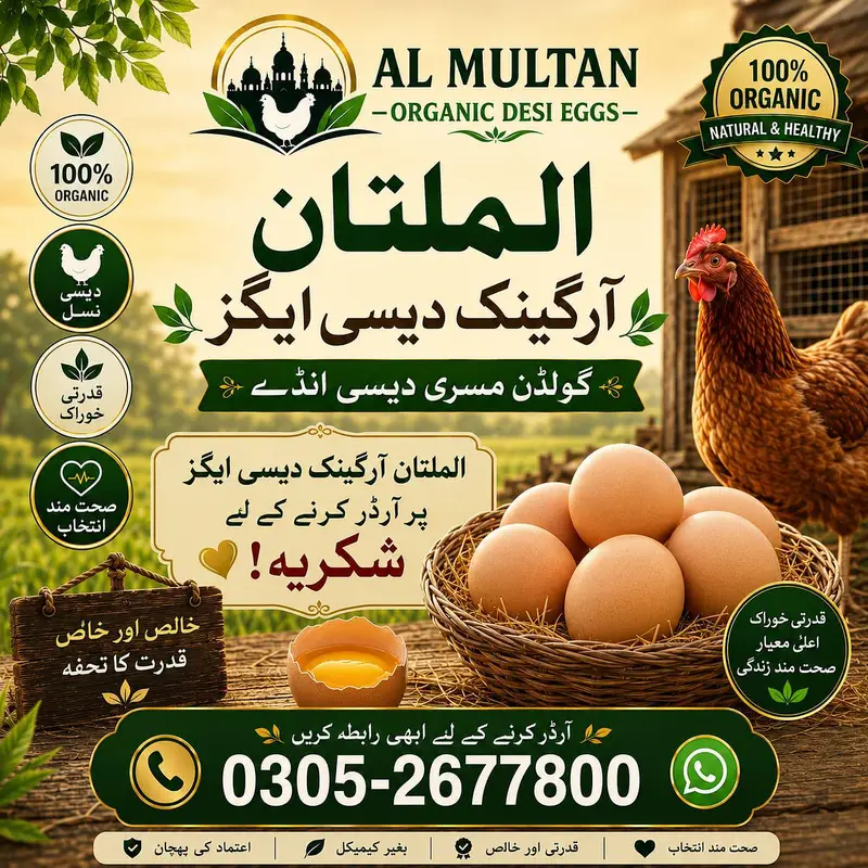 organic eggs  — photo 3