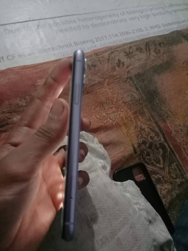 Apple iPhone 11 0