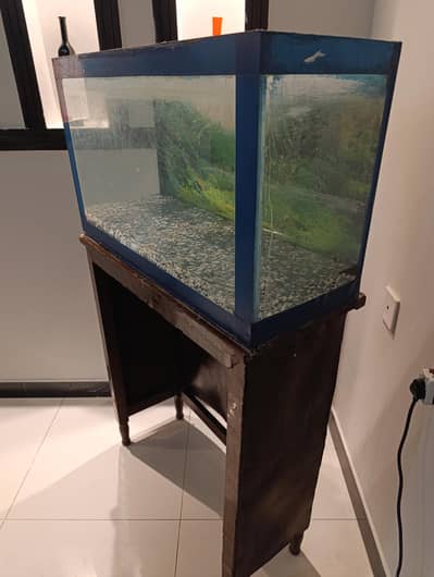 aquarium