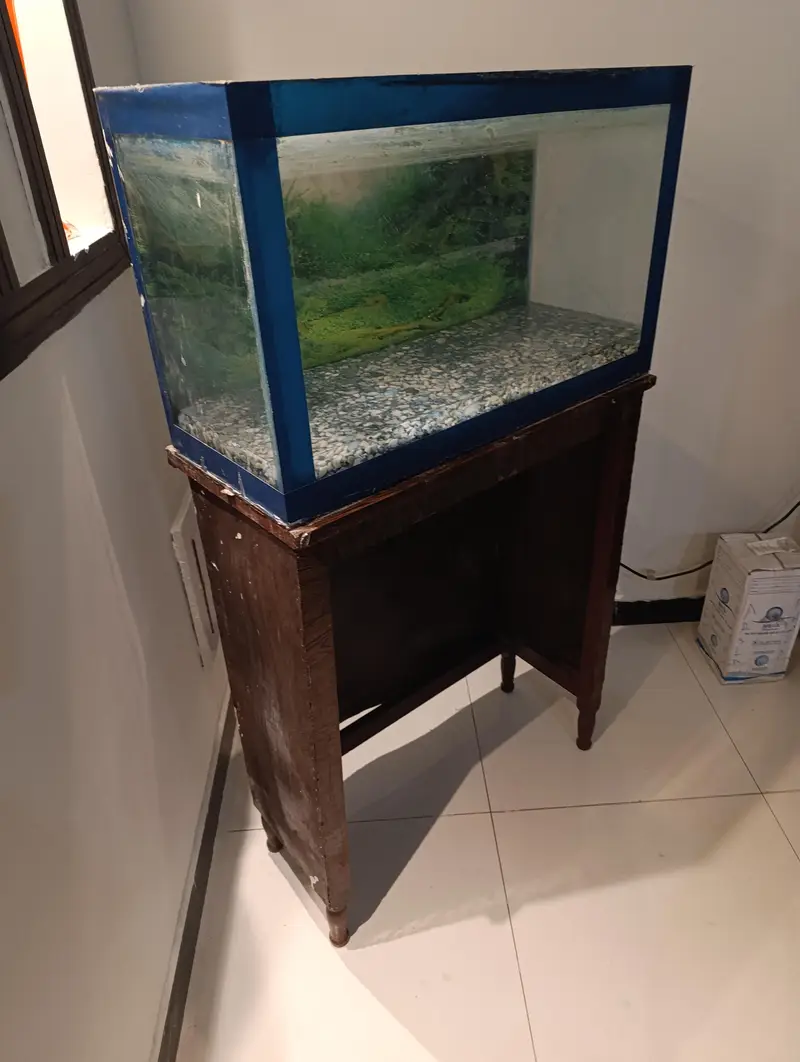 aquarium — photo 2