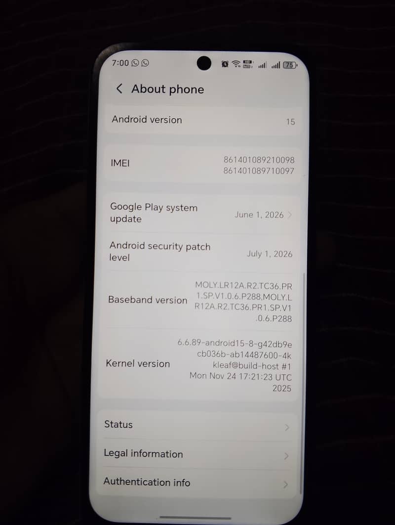 Honor X6 2