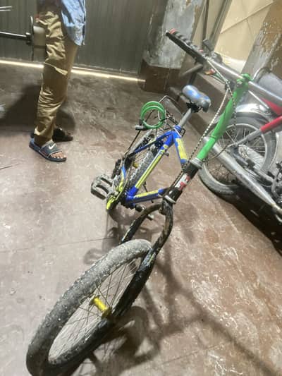 Phoenix cycle with gear set