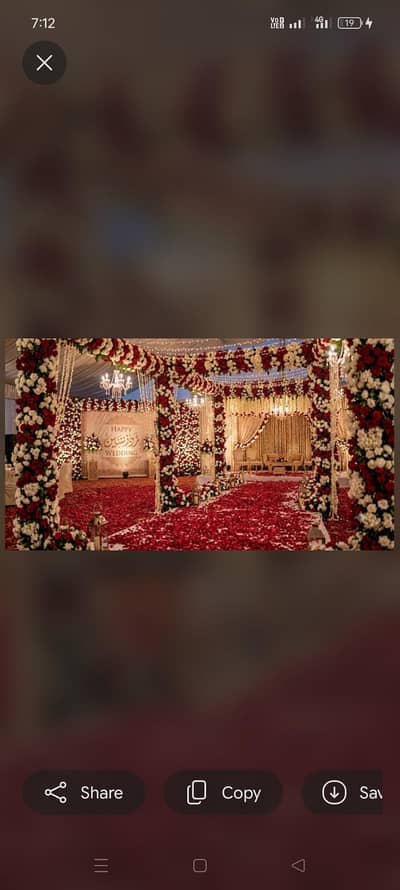 home decorator and home decorations