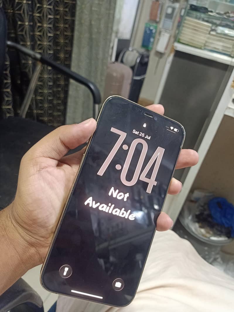 12 pro max 2