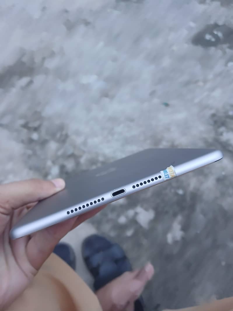 Ipad Mini 4 2