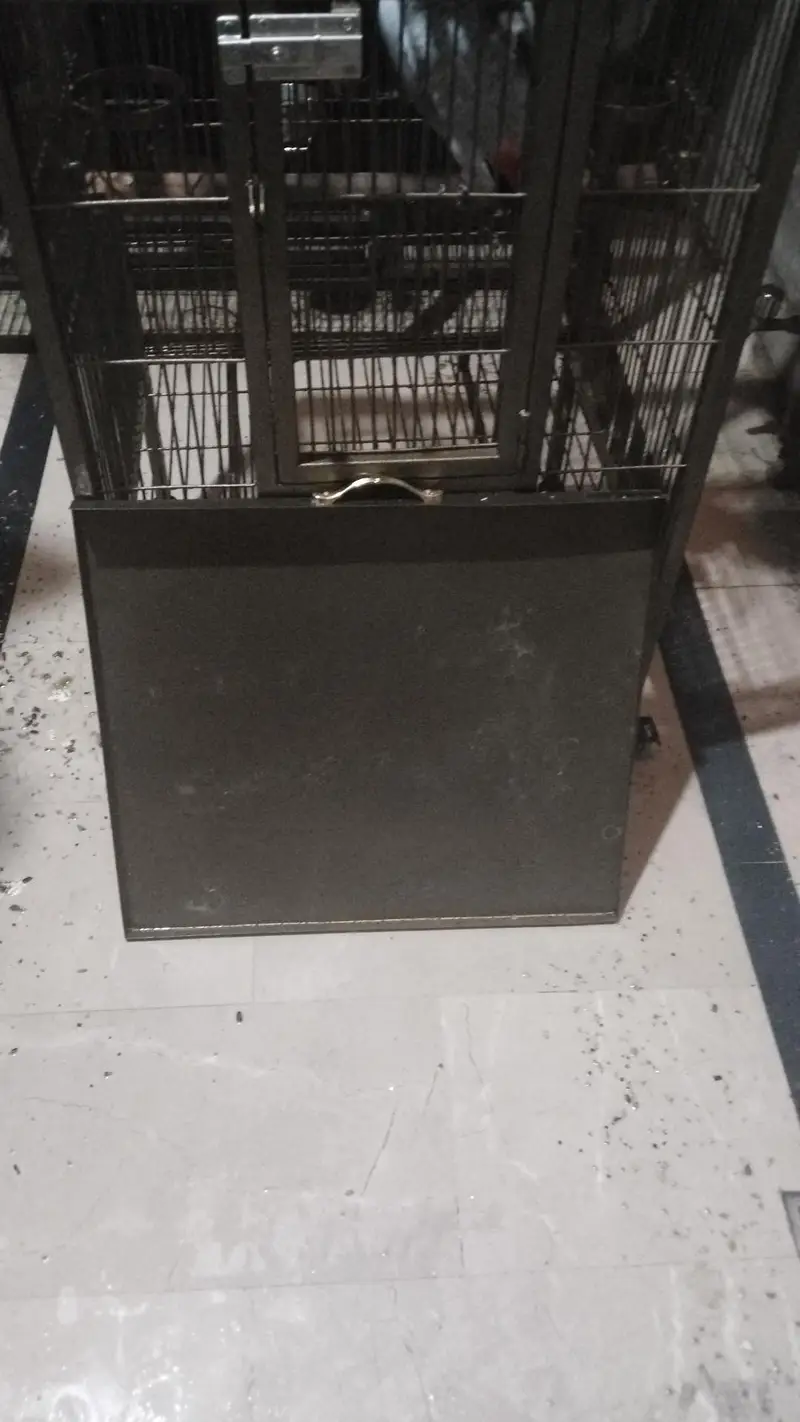 cage fancy — photo 2