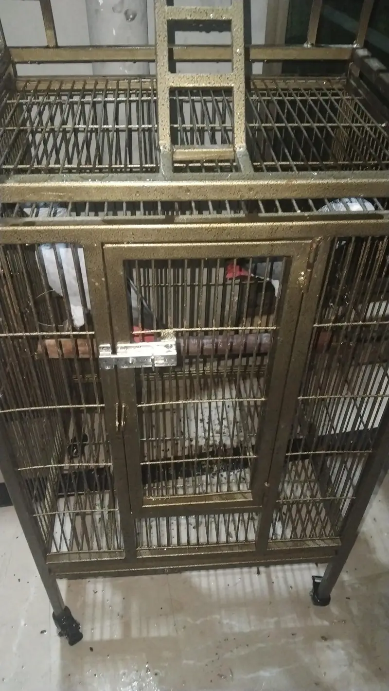 cage fancy — photo 4