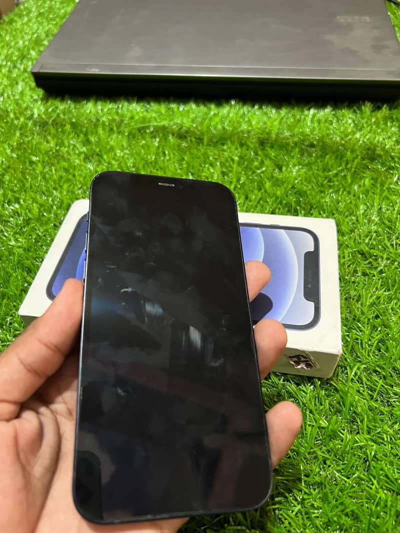 Apple iPhone 12 1