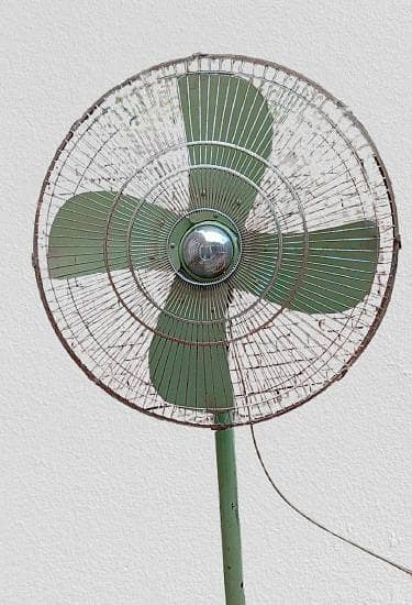 Fan for sale