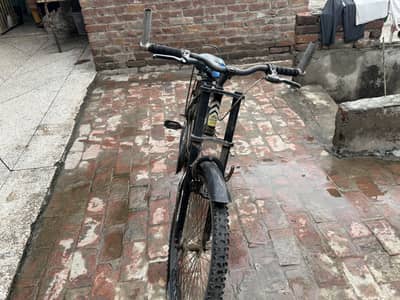 Cycle