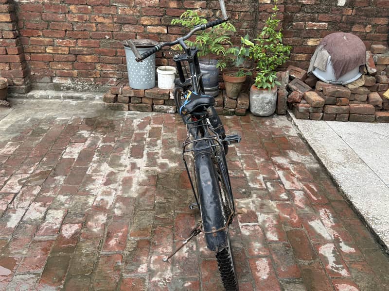 Cycle 4