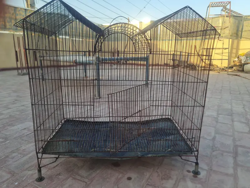 parrot cage