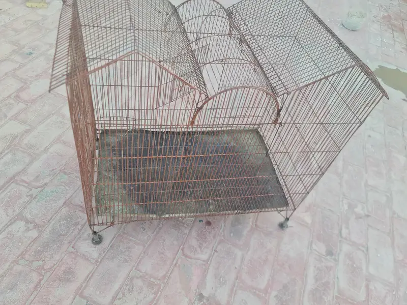 parrot cage — photo 2