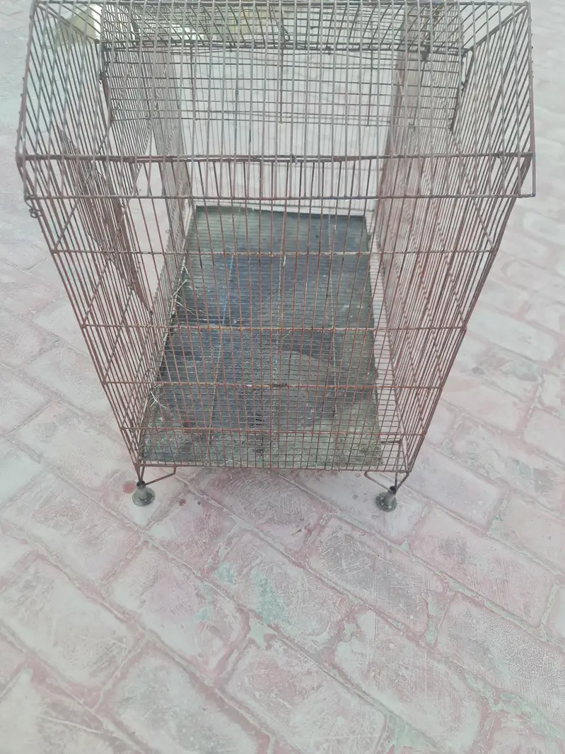 parrot cage — photo 3