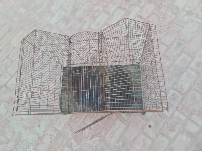 parrot cage — photo 4